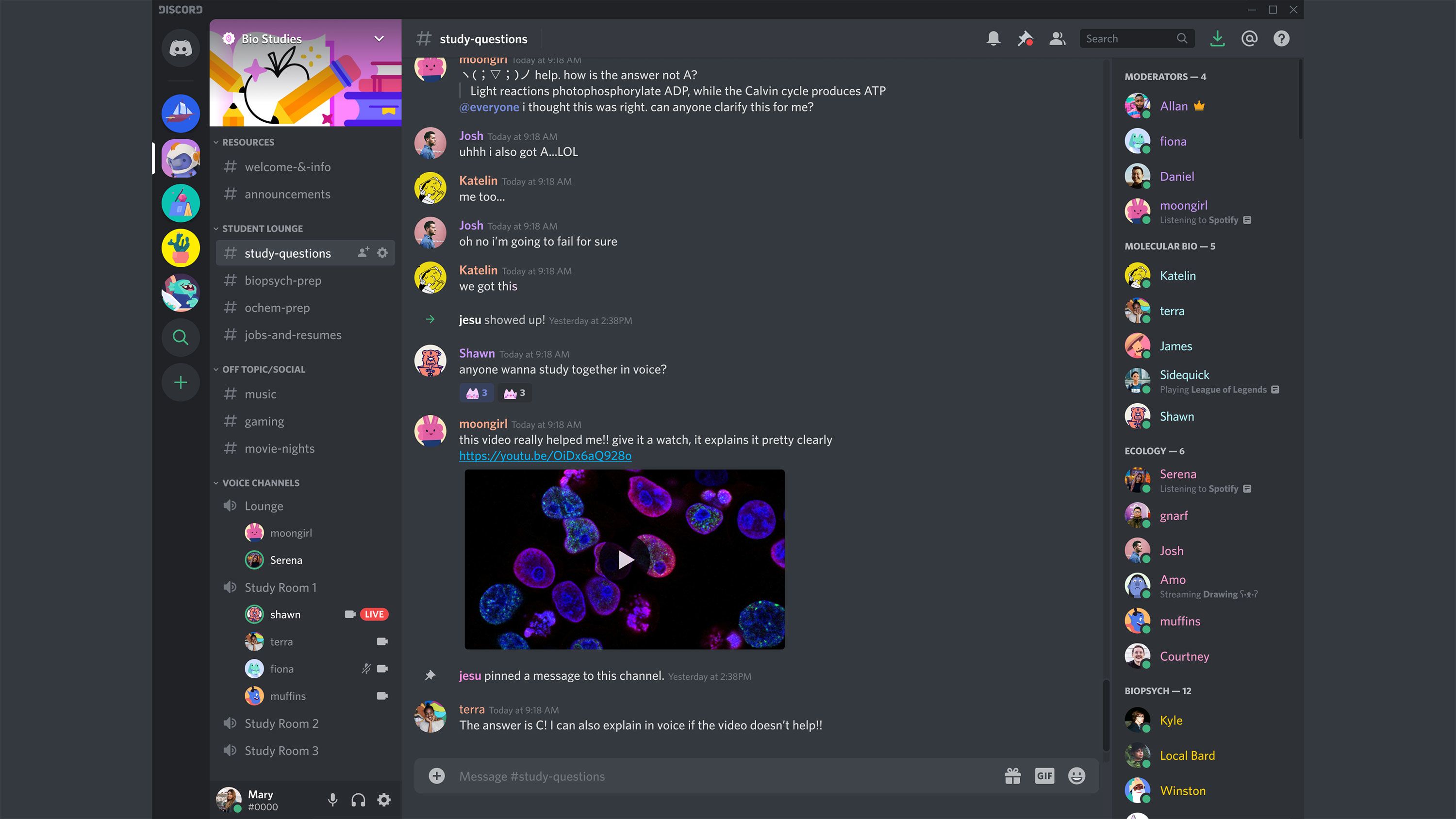 Discord (work use) screenshot 2