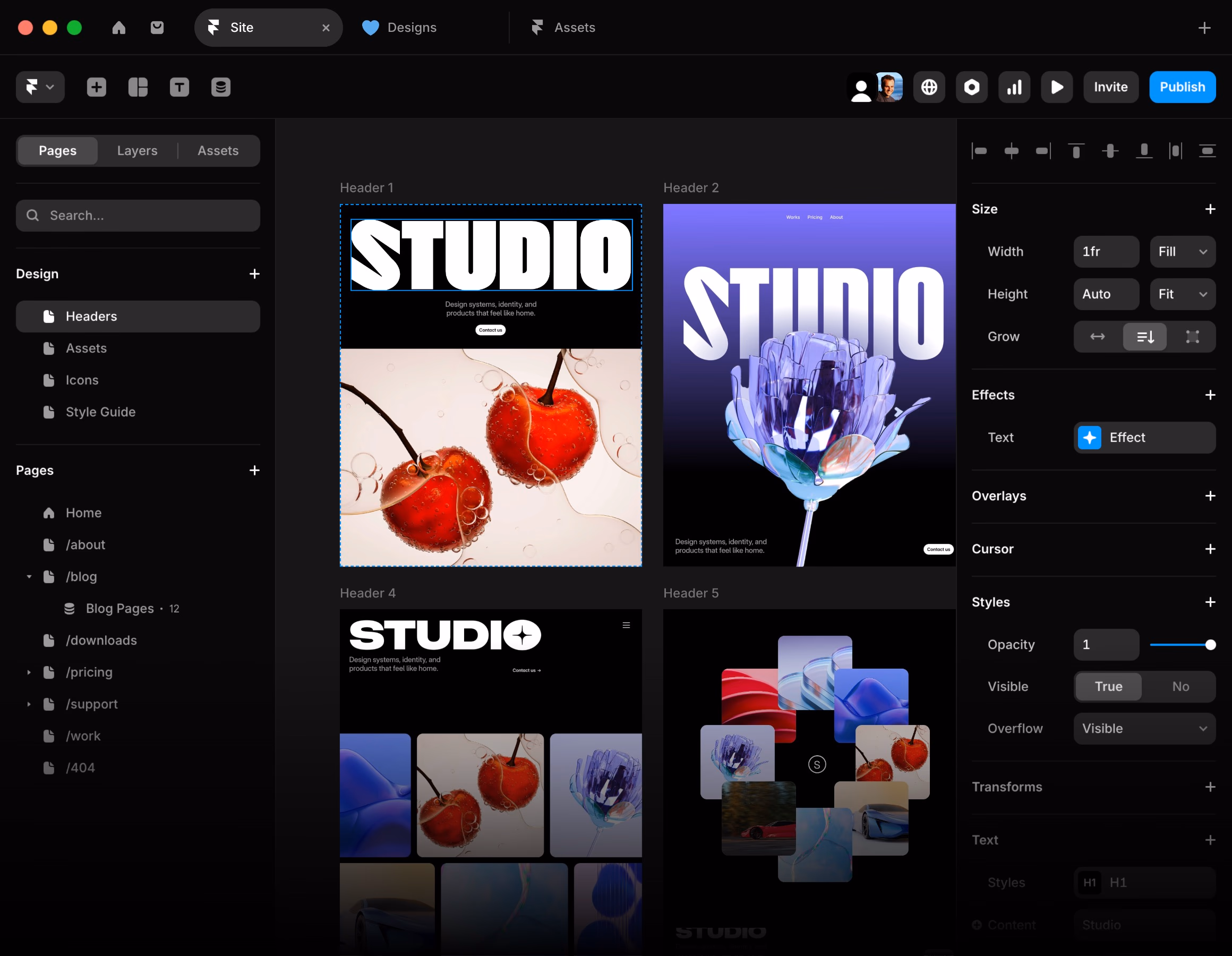 Framer screenshot 7